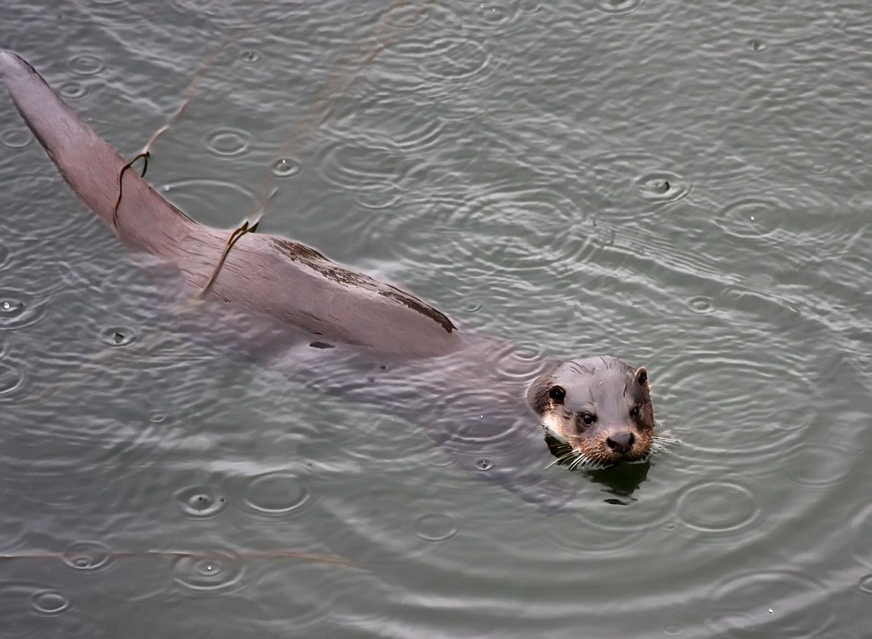 fisher in the harbor